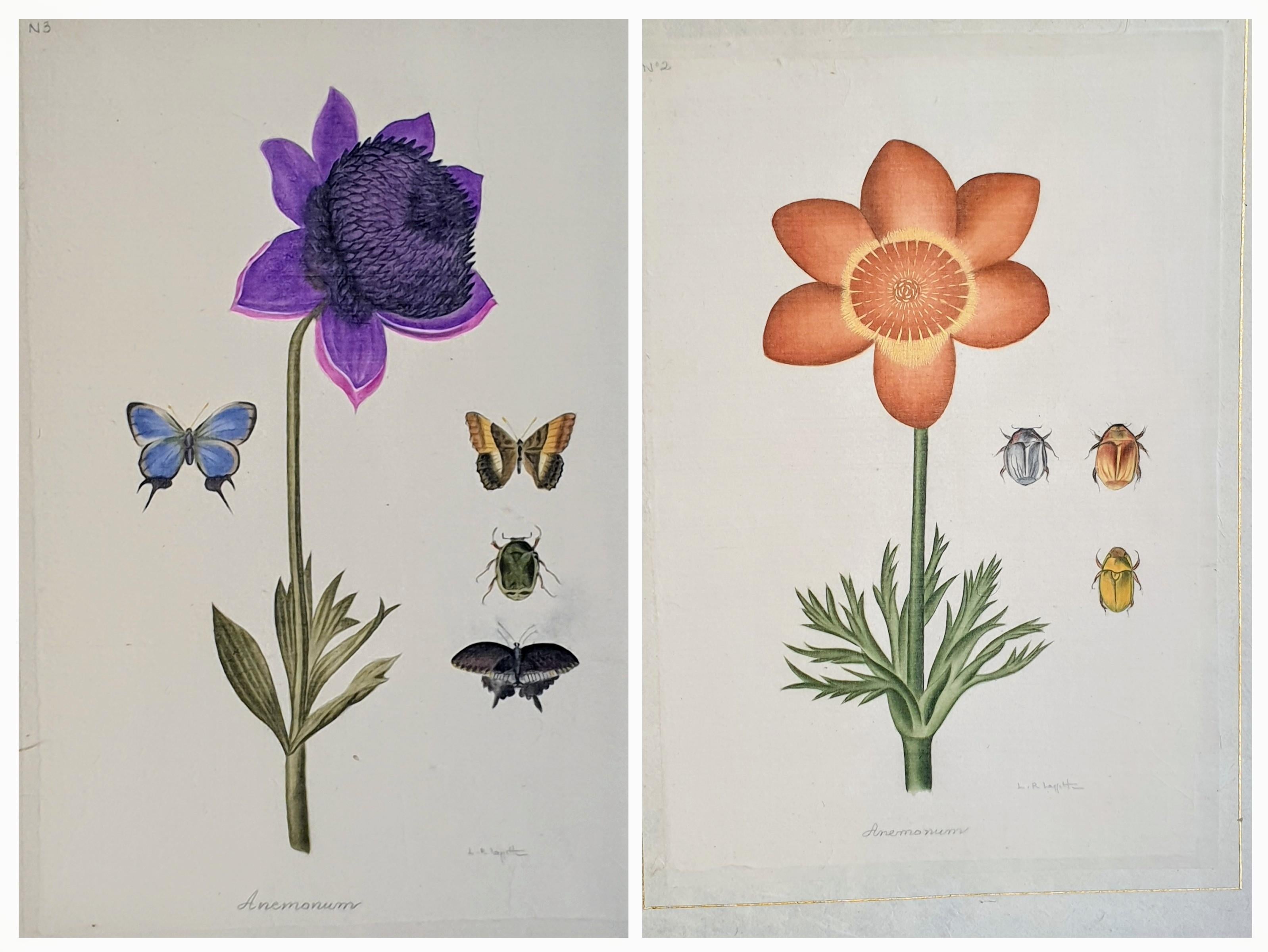 La Roche Laffitte  Still-Life – Botanical Studies, Paar Aquarelle auf Seide auf handgeschöpftem Papier, Anemones