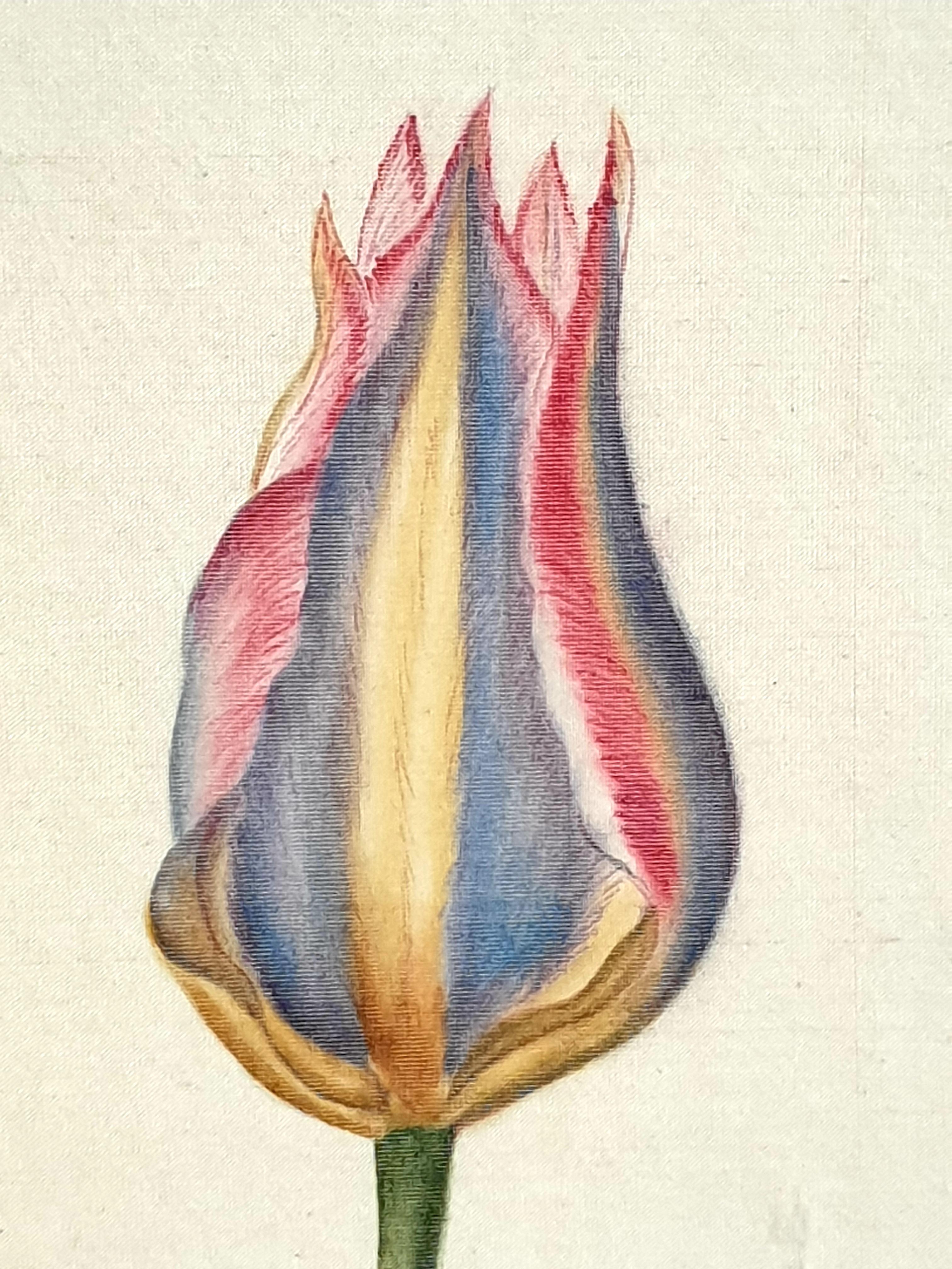 Botanical Studies, Watercolours on Silk on Handmade Paper, Set of Three Tulips. For Sale 2