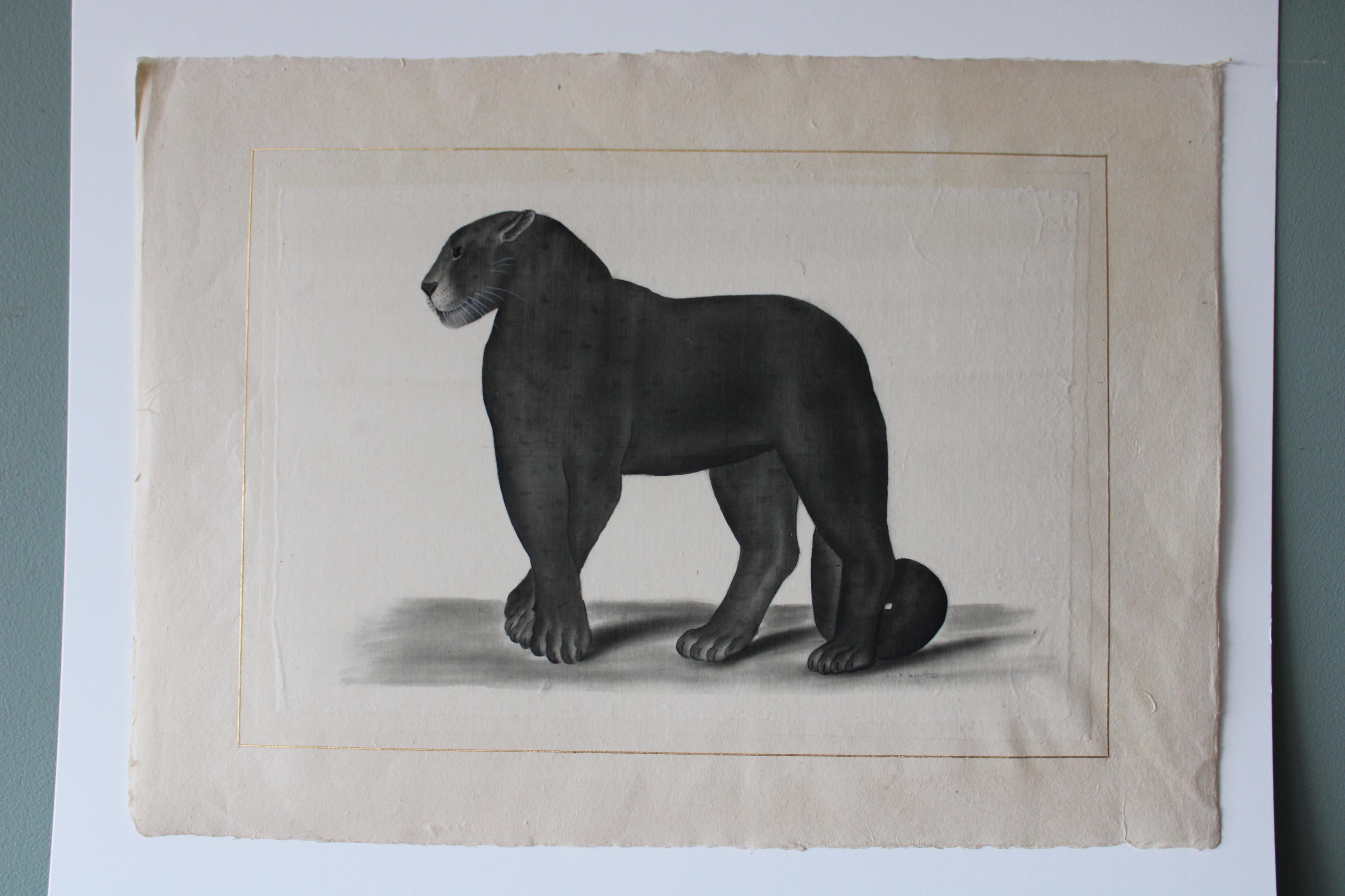 Schwarzes Panther-Aquarell auf Seide auf japanischem Papier von La Roche Laffitte, Vintage 1