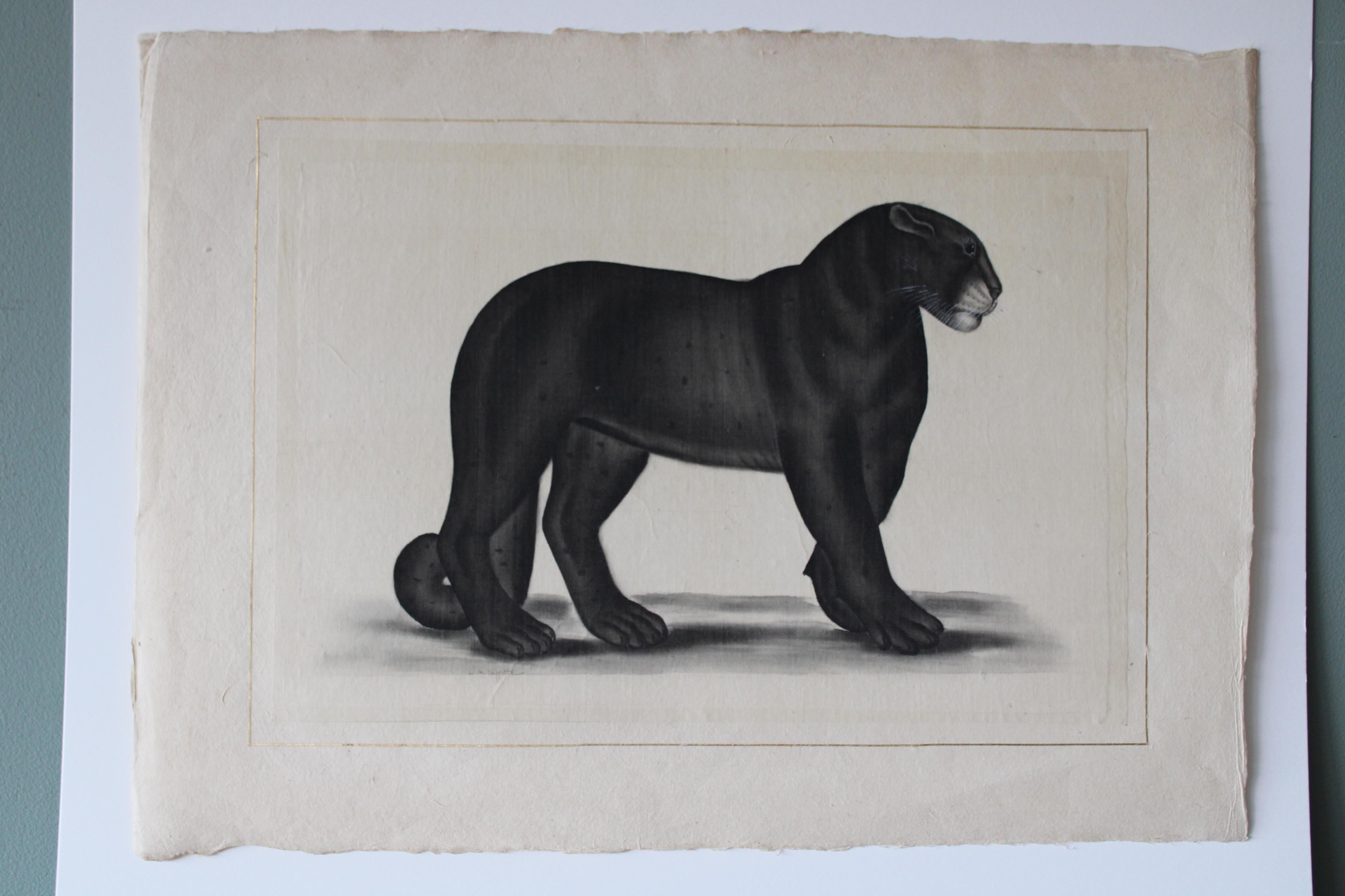 Schwarzes Panther-Aquarell auf Seide auf japanischem Papier von La Roche Laffitte, Vintage 1