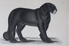 Schwarzes Panther-Aquarell auf Seide auf japanischem Papier von La Roche Laffitte, Vintage