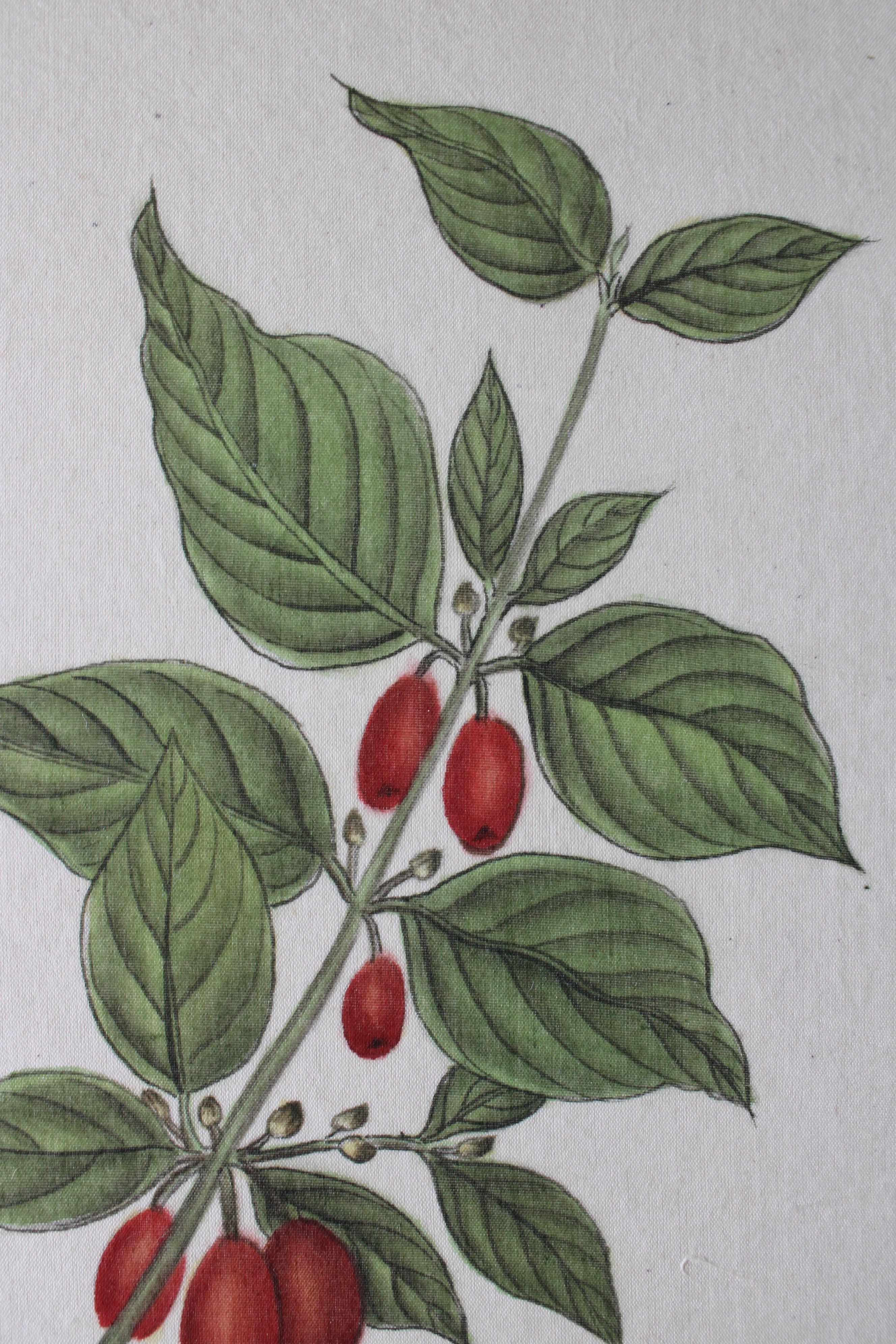 botanisches Aquarell auf Seide auf japanischem Papier von La Roche Laffitte, Vintage 4
