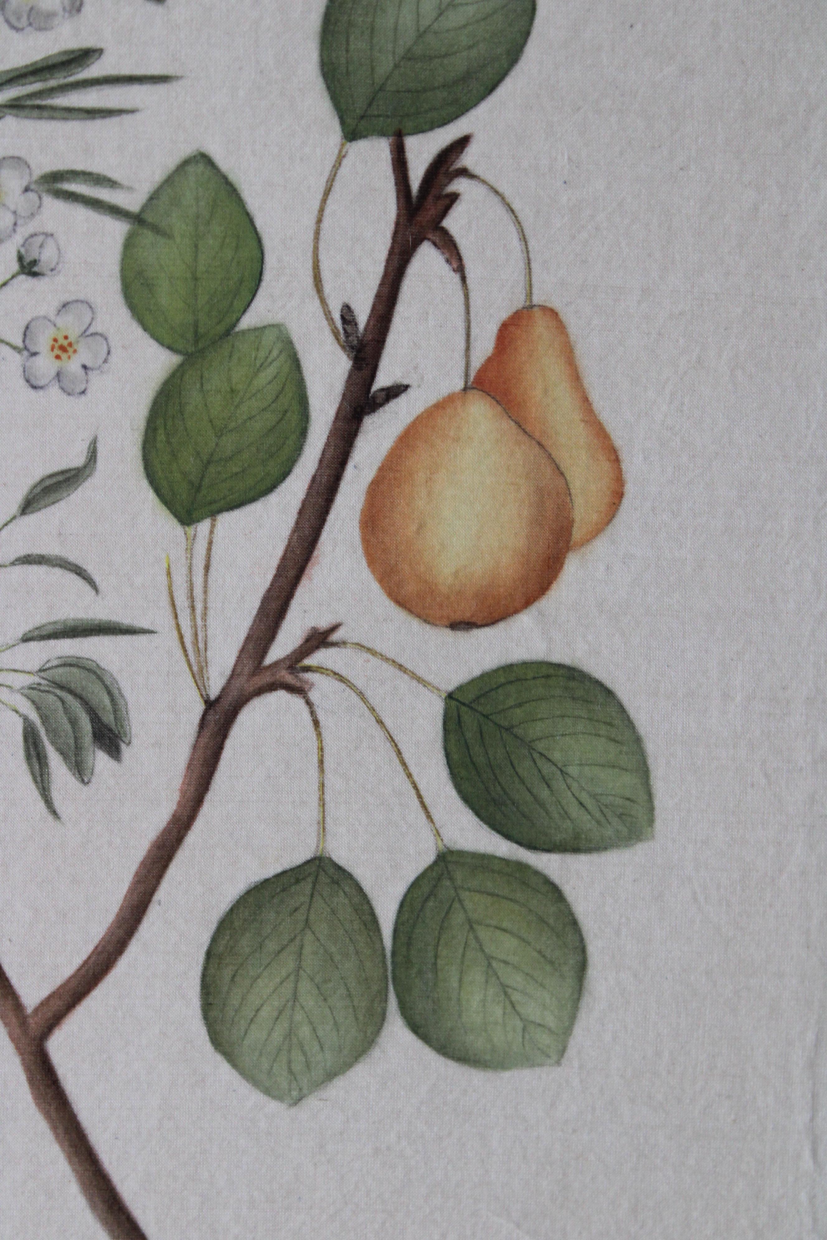 Set di 2 acquerelli botanici d'epoca su seta di La Roche Laffitte in vendita 4