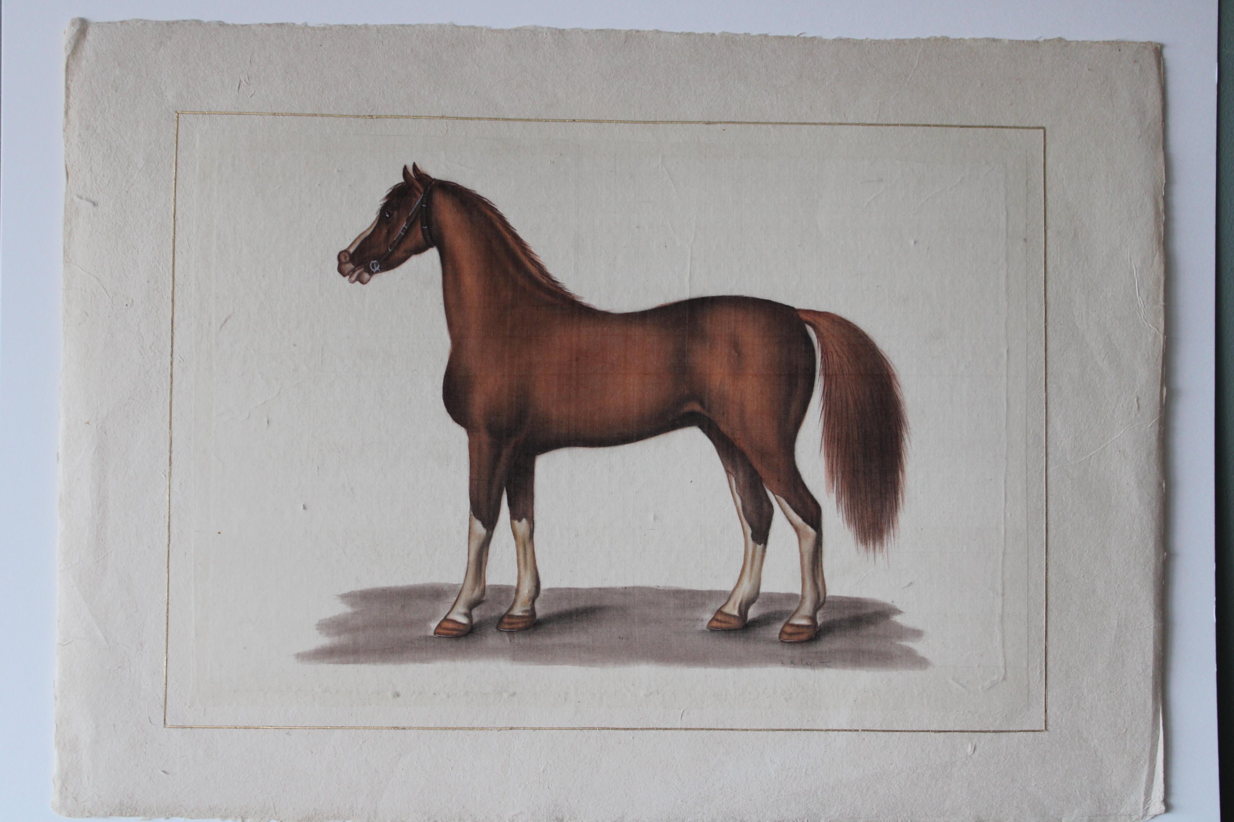 Cavallo d'epoca acquerello su seta su carta giapponese di La Roche Laffitte 1