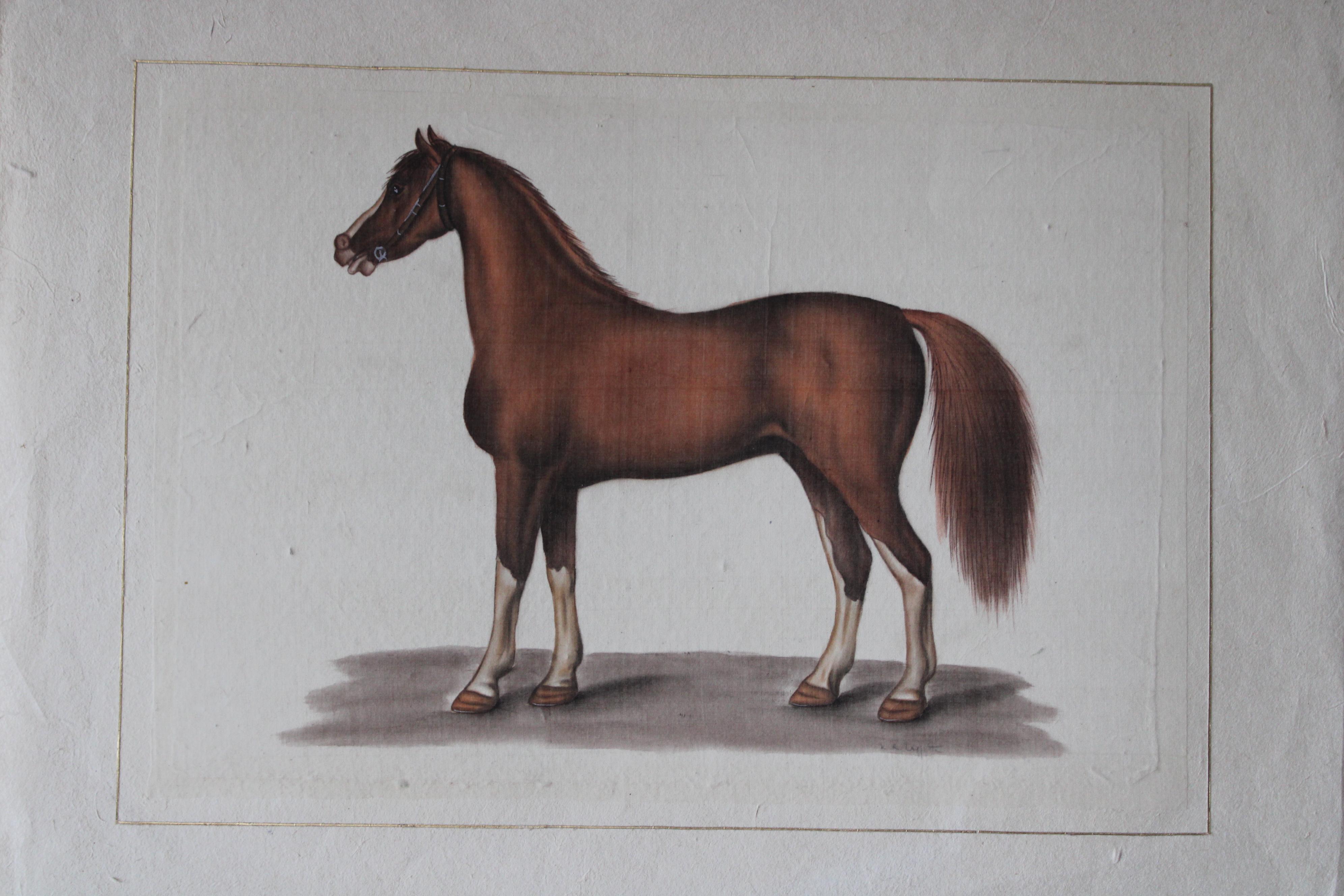Cavallo d'epoca acquerello su seta su carta giapponese di La Roche Laffitte 2