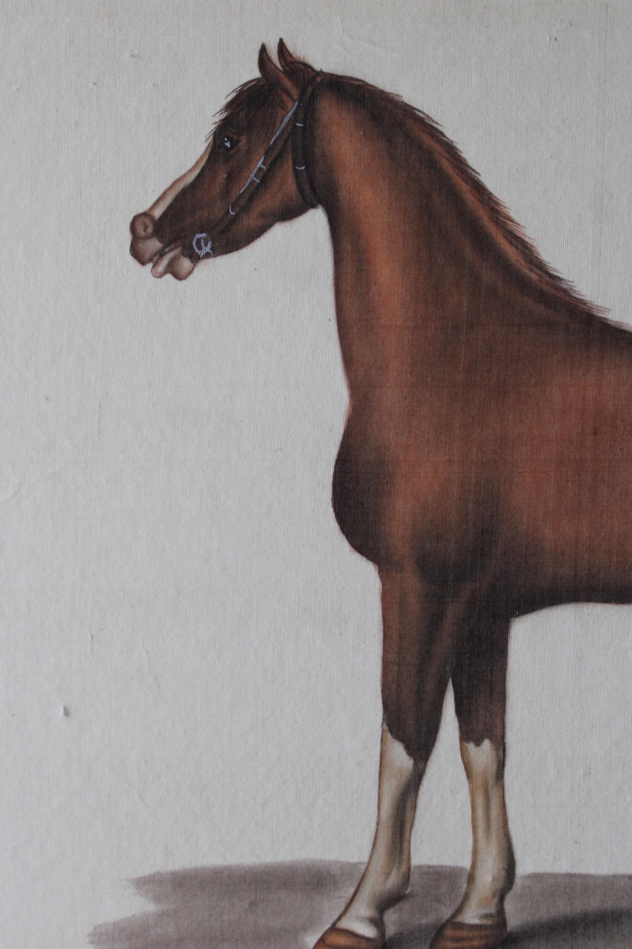 Cavallo d'epoca acquerello su seta su carta giapponese di La Roche Laffitte 6