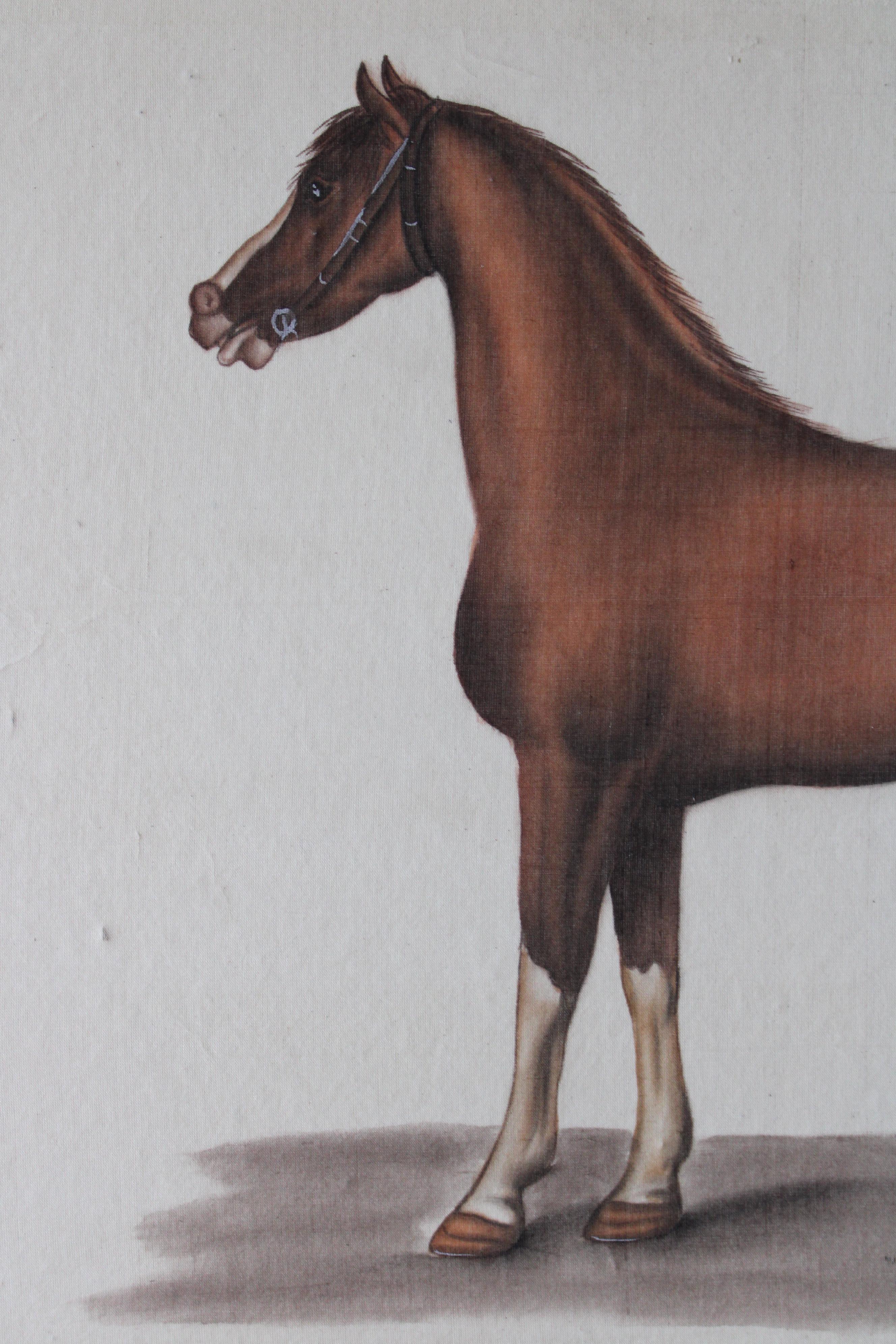 Cavallo d'epoca acquerello su seta su carta giapponese di La Roche Laffitte 7