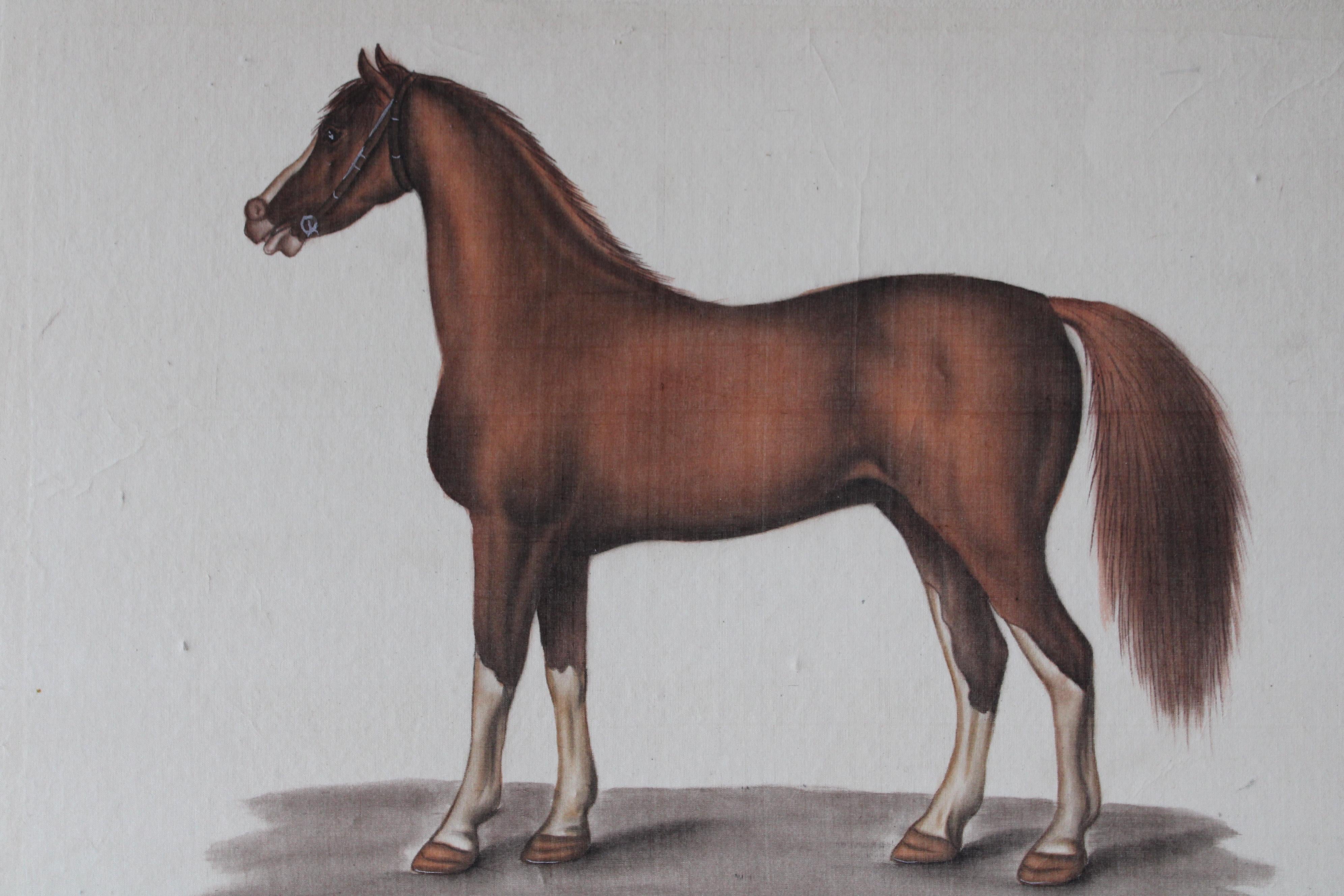 Cavallo d'epoca acquerello su seta su carta giapponese di La Roche Laffitte 8