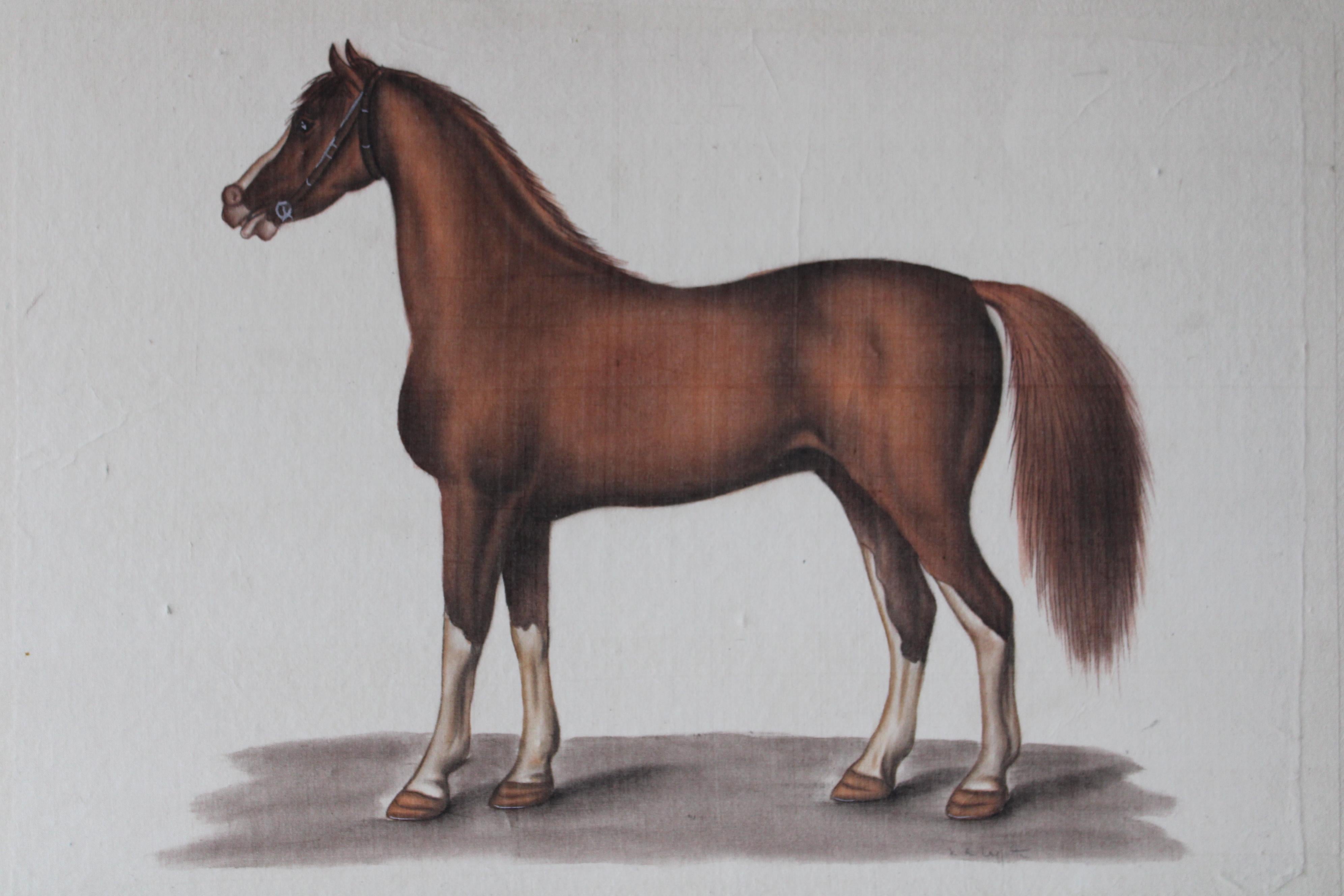 Caballo vintage acuarela sobre seda en papel japonés de La Roche Laffitte