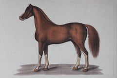 Vintage Horse watercolour on silk on Japanese paper by La Roche Laffitte