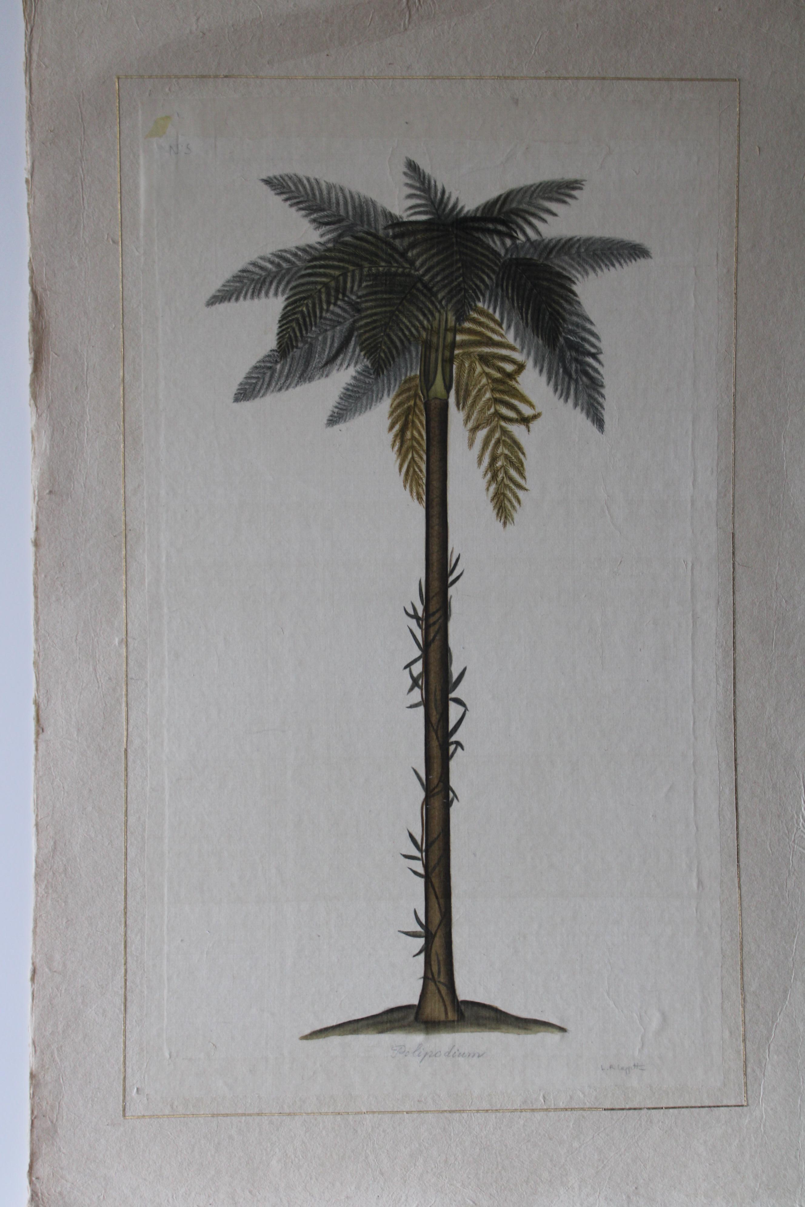 Aquarelle vintage de palmier sur soie sur papier japonais La Roche Laffitte en vente 1