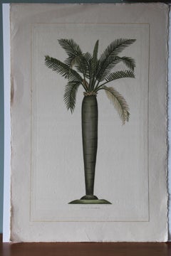 La Roche Laffitte Vintage Palm Tree Watercolour on silk on Japanese paper