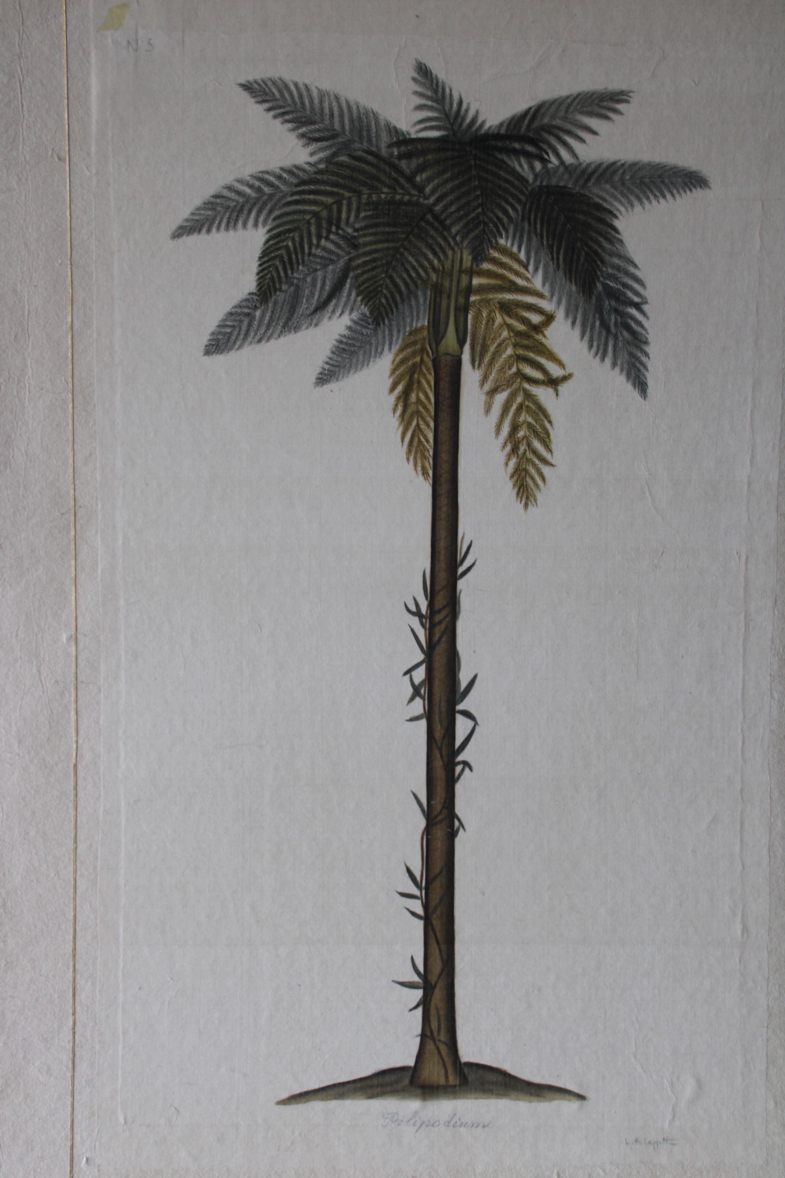 Aquarelle vintage de palmier sur soie sur papier japonais La Roche Laffitte en vente 2