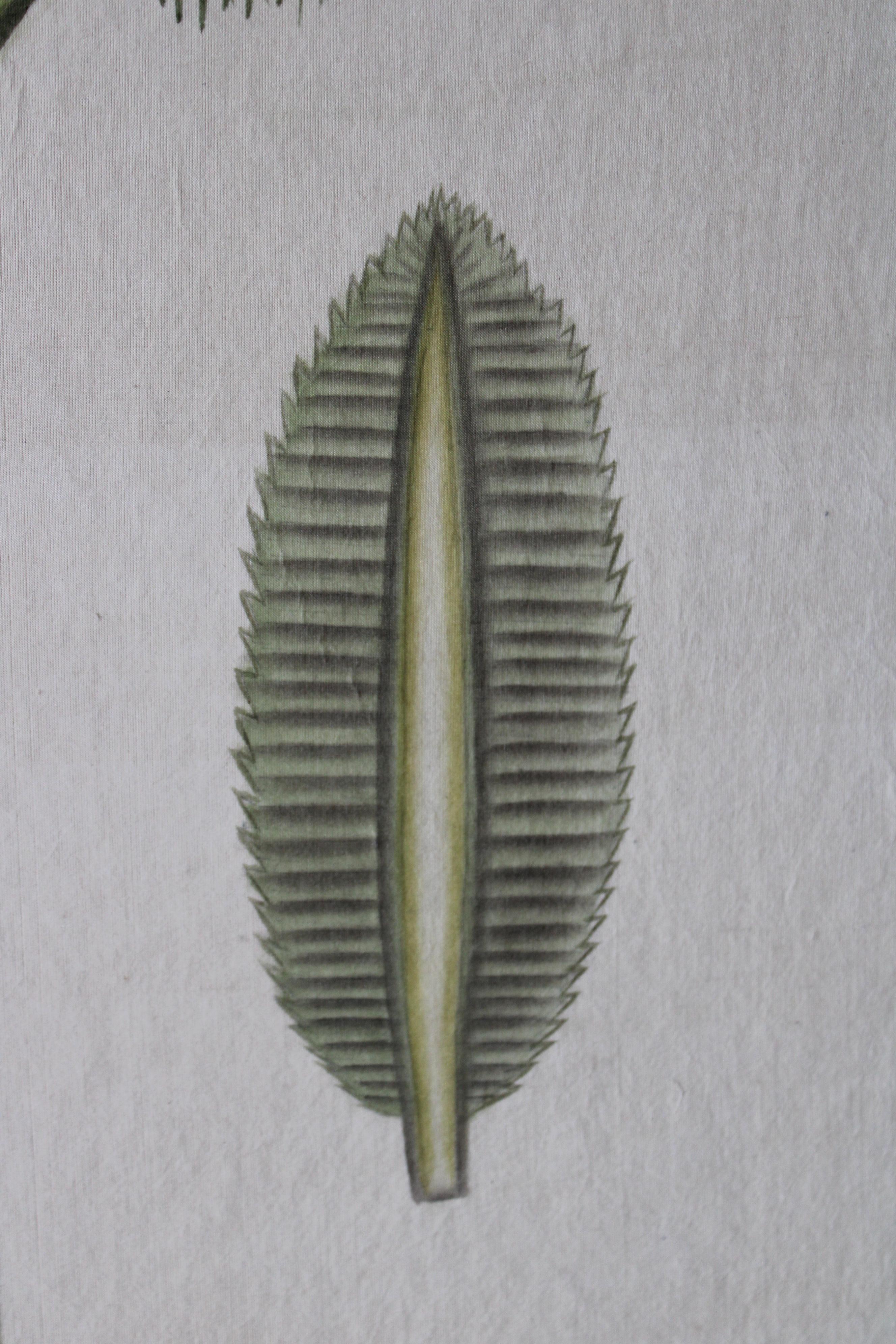 La Roche Laffitte Palmera vintage acuarela sobre seda sobre papel japonés 2