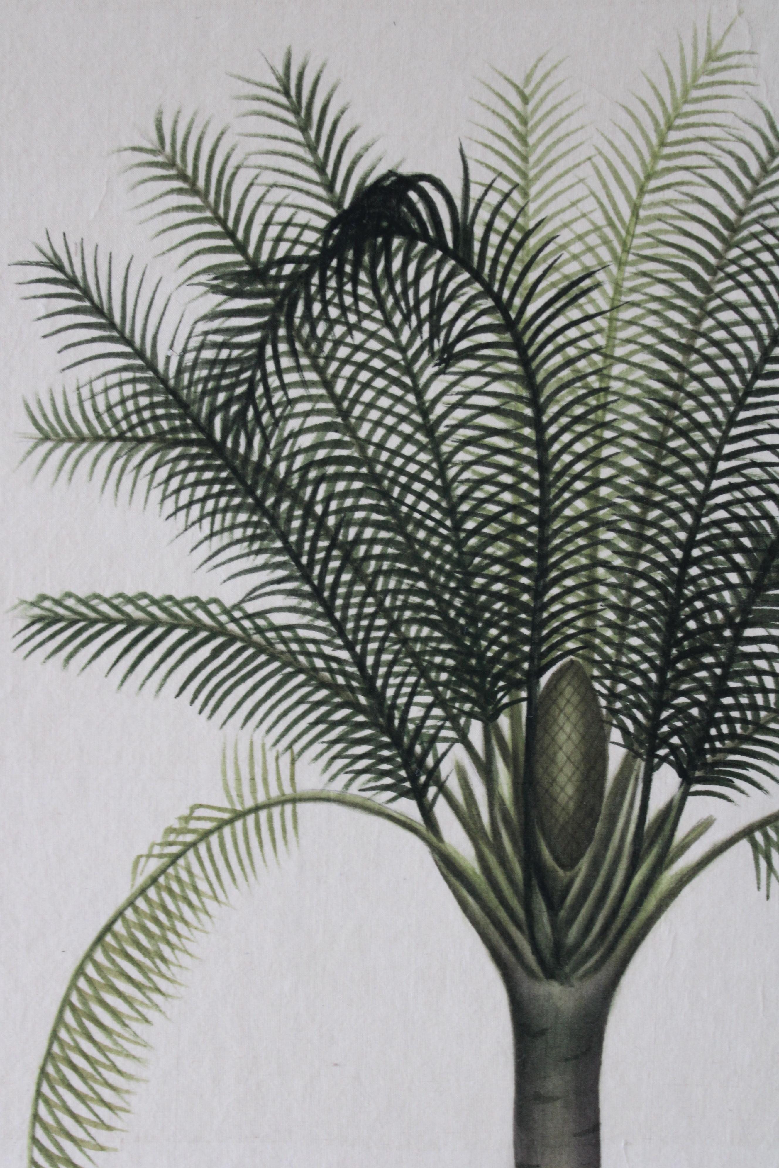 La Roche Laffitte Palmera vintage acuarela sobre seda sobre papel japonés 5