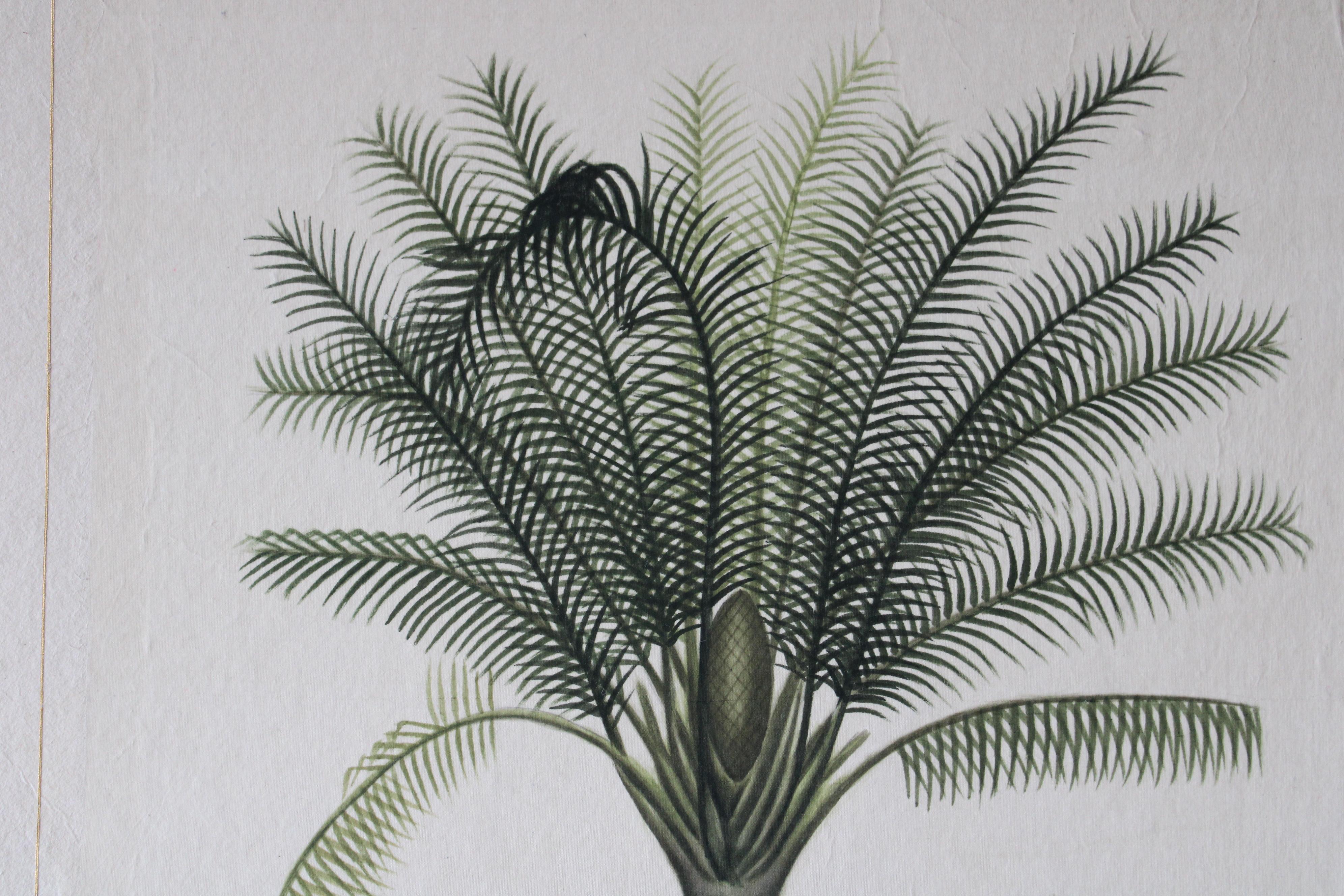 La Roche Laffitte Palmera vintage acuarela sobre seda sobre papel japonés 7