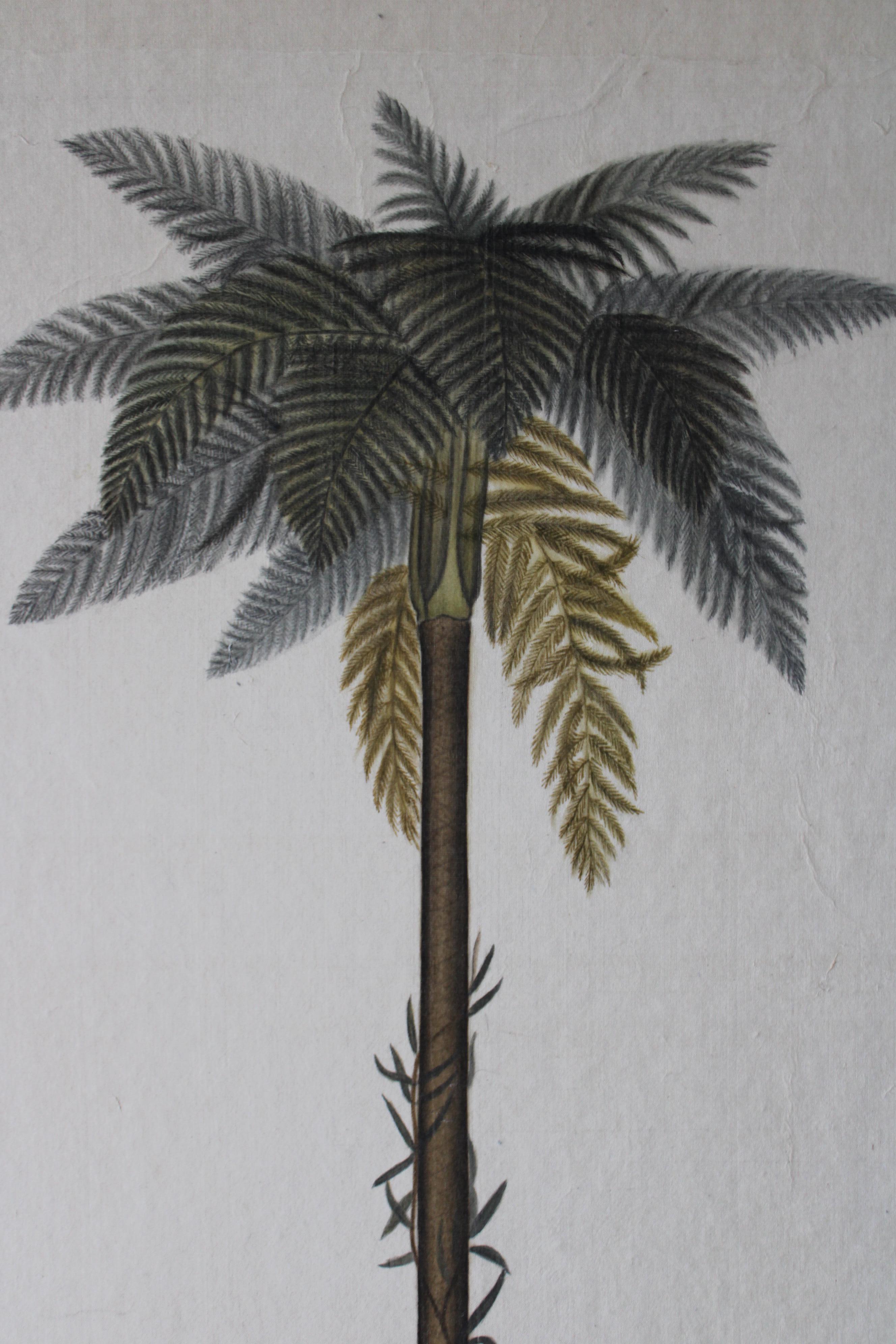 La Roche Laffitte Palmera vintage acuarela sobre seda sobre papel japonés