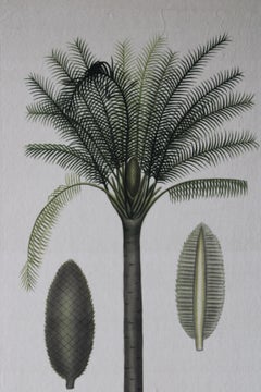 La Roche Laffitte Palmera vintage acuarela sobre seda sobre papel japonés