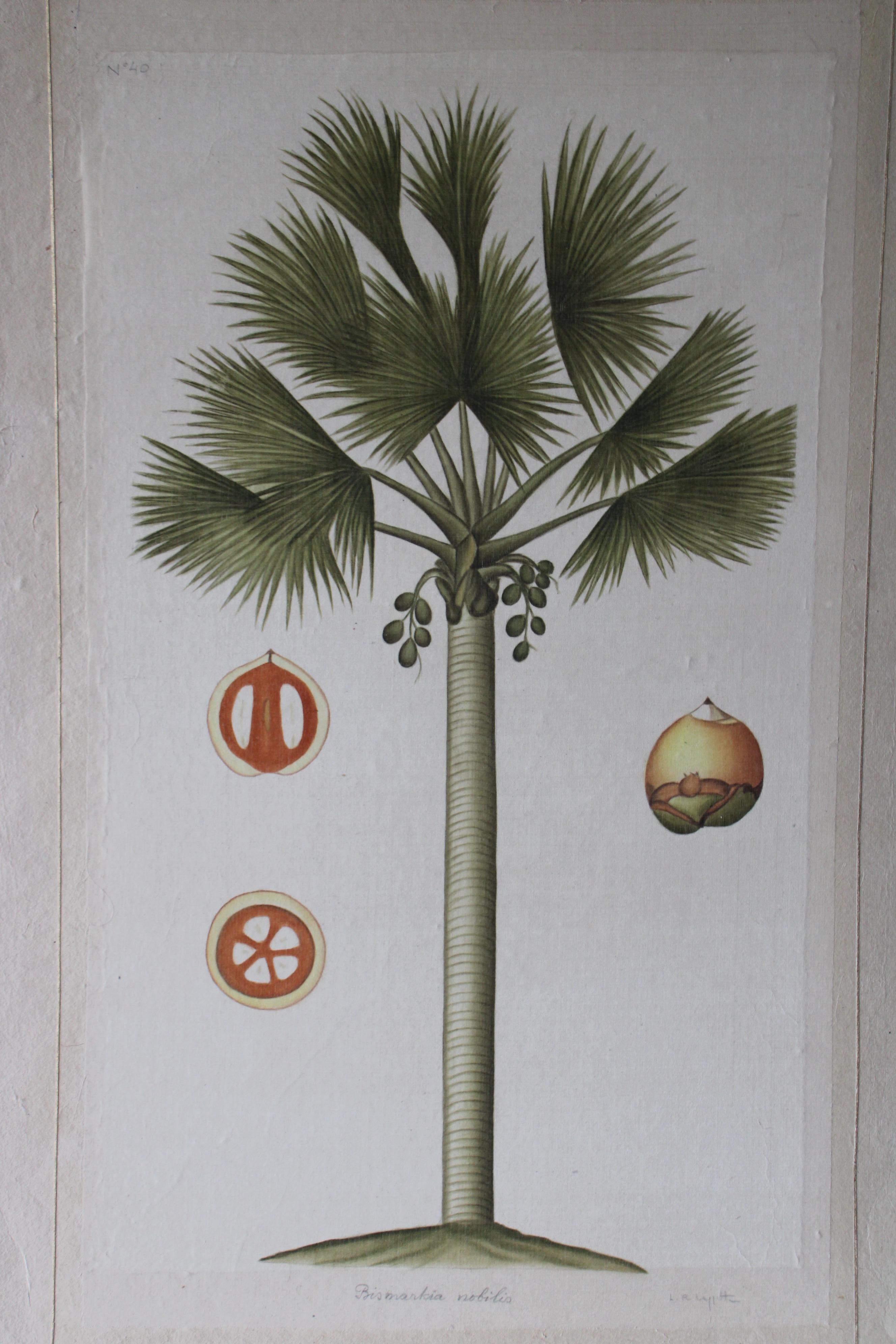 La Roche Laffitte Vintage Palm Tree Watercolor on silk on Japanese paper