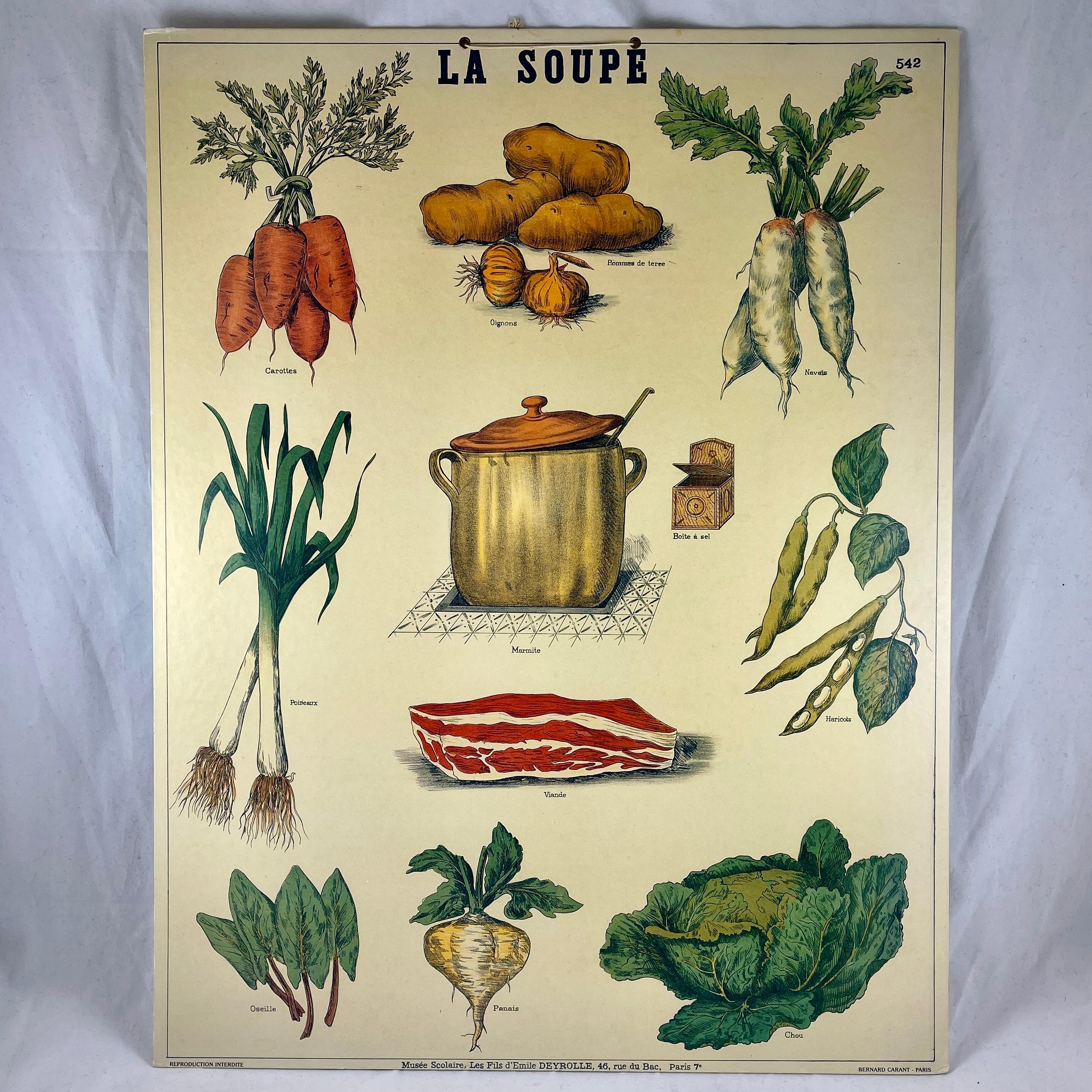 La Soupe – Original Émile Deyrolle French Mounted & Hanging Offset Lithograph 3