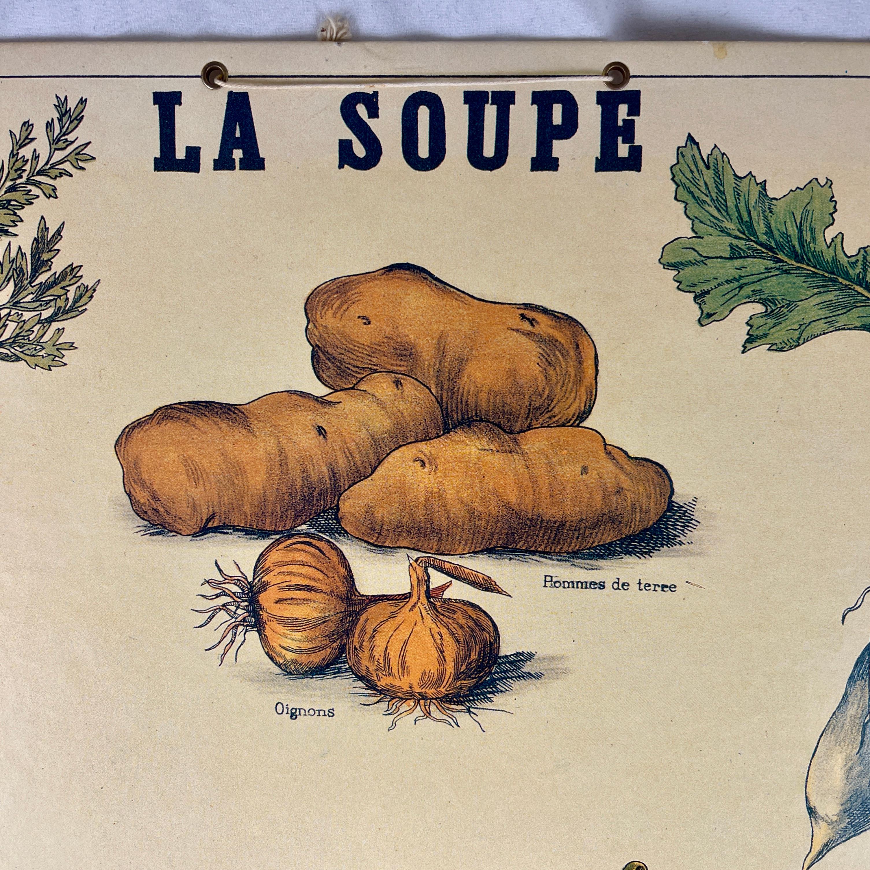 La Soupe, a mounted, offset printed lithograph illustrated by the French naturalist, Émile Deyrolle – printed for the classroom by Bernard Carant, Paris, France, circa 1930s-1940s.

This is a high quality, original Carant printing, not a