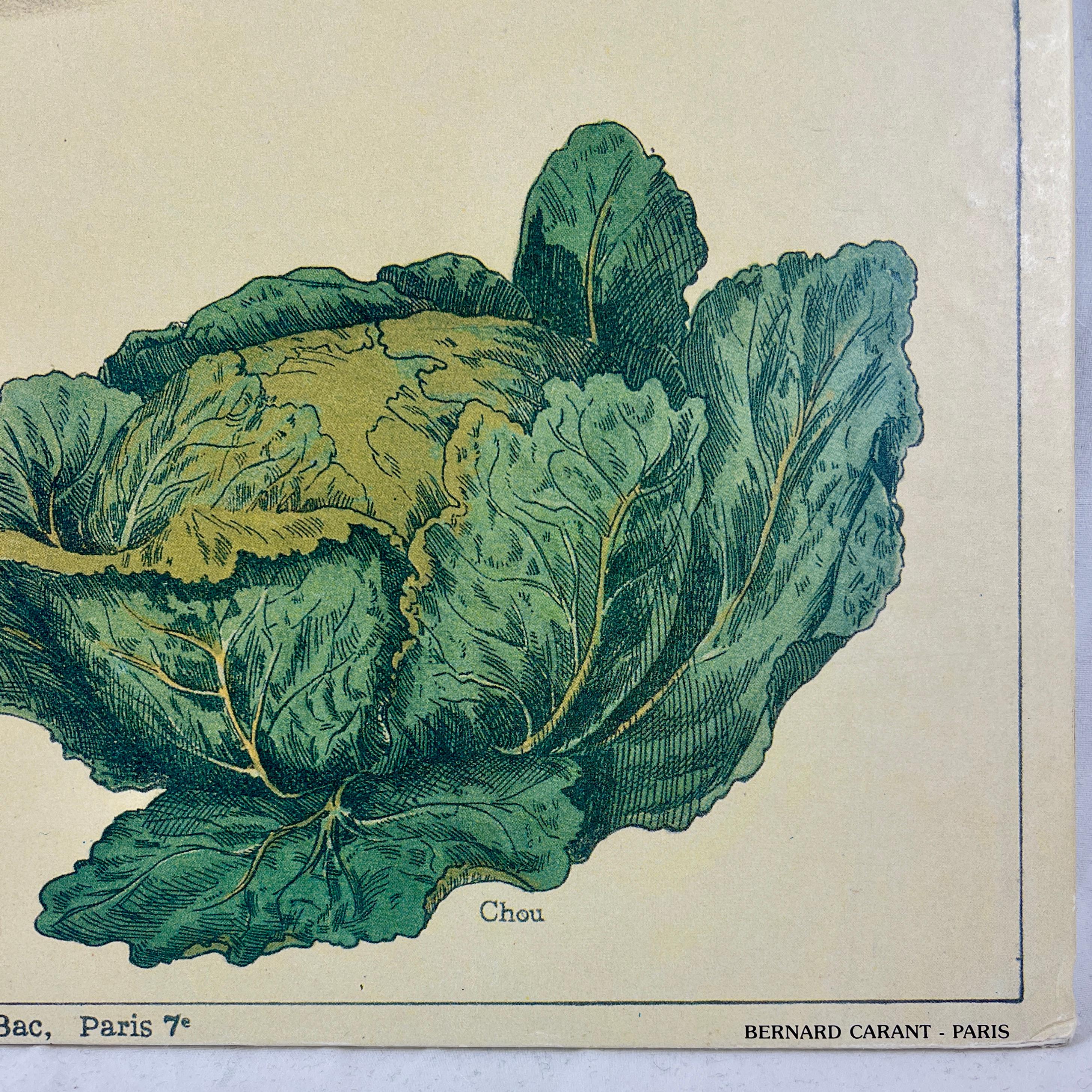 Mid-20th Century La Soupe – Original Émile Deyrolle French Mounted & Hanging Offset Lithograph