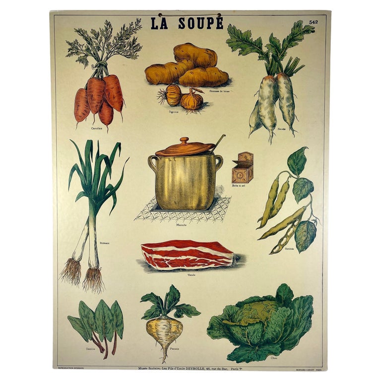 La Soupe – Original Émile Deyrolle French Mounted and Hanging Offset  Lithograph at 1stDibs