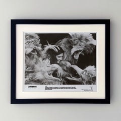 Labyrinth 1986 Publicity Film Movie Press Still Framed