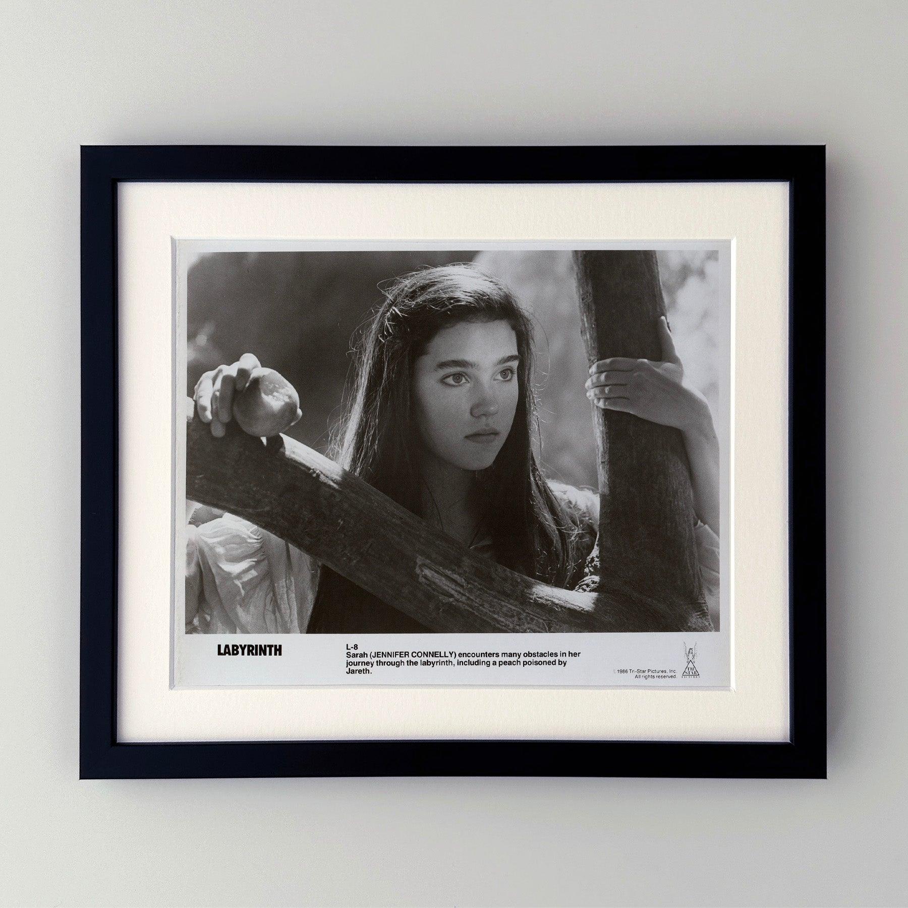 Fotogramma pubblicitario originale 8x10 pollici per Labyrinth (1986) con David Bowie e Jennifer Connelly e diretto da Jim Henson.

Le foto pubblicitarie (film/produzione) sono state create per aiutare gli studios a promuovere i loro nuovi film. Le