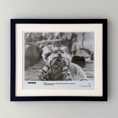 Labyrinth 1986 Publicity Film Movie Press Still Framed