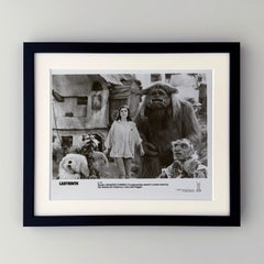 Labyrinth 1986 Publicity Film Movie Press Still Framed