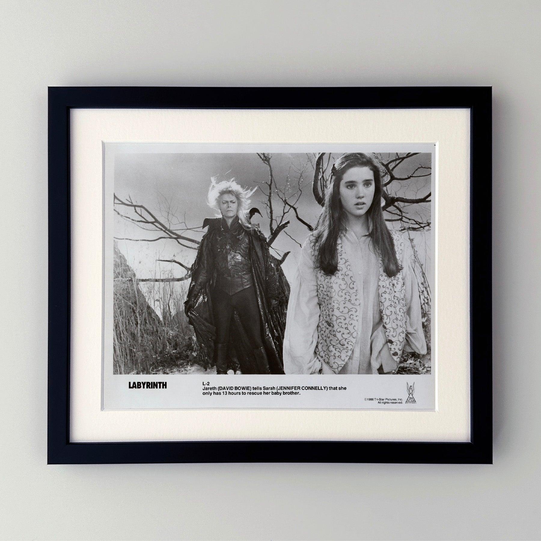 Original 8x10 inches Publicity Film Still for Labyrinth (1986) starring David Bowie and Jennifer Connelly and directed by Jim Henson.

Publicity (film/production) stills were created to help studios promote their new films. The stills were included
