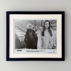 Labyrinth 1986 Publicity Film Movie Press Still Framed