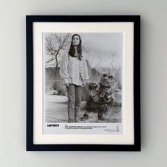 Labyrinth 1986 Publicity Film Movie Press Still Framed