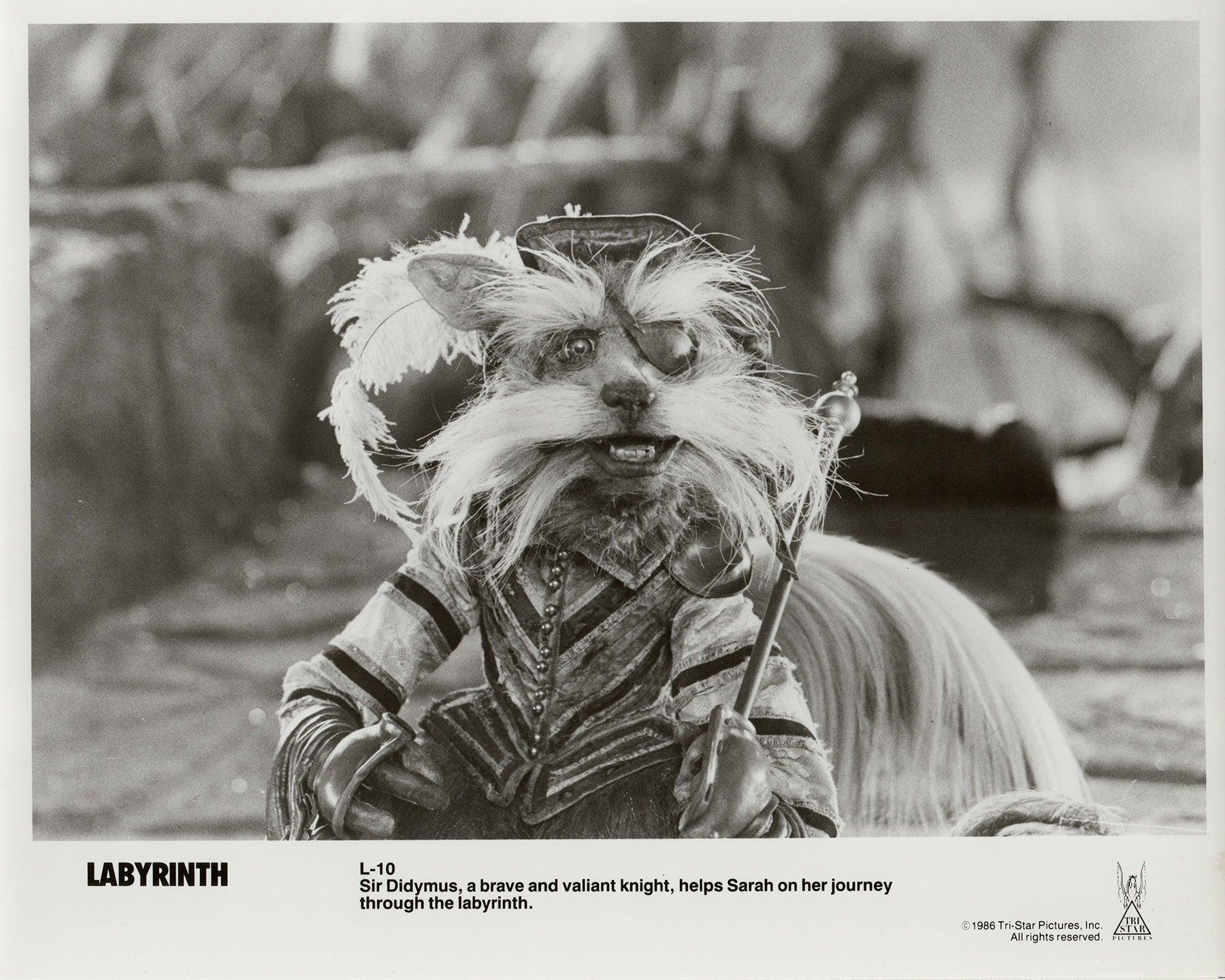 Laberinto 1986 Publicidad Película Película Prensa Fotograma Papel en venta