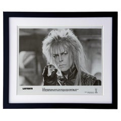 Labyrinth 1986 Publicity Film Movie Press Still Framed