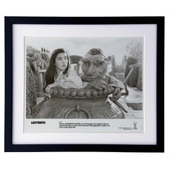 Labyrinth 1986 Publicity Film Movie Press Still Framed