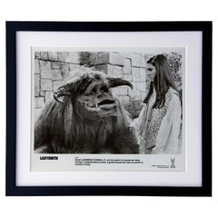 Labyrinth 1986 Publicity Film Movie Press Still Framed