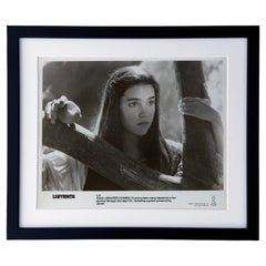 Labyrinth 1986 Publicity Film Movie Press Still Framed