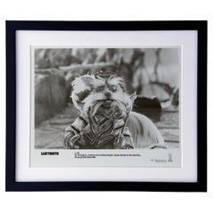 Labyrinth 1986 Publicity Film Movie Press Still Framed
