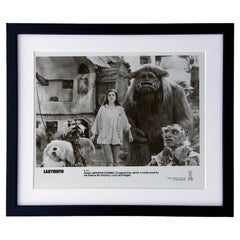 Labyrinth 1986 Publicity Film Movie Press Still Framed