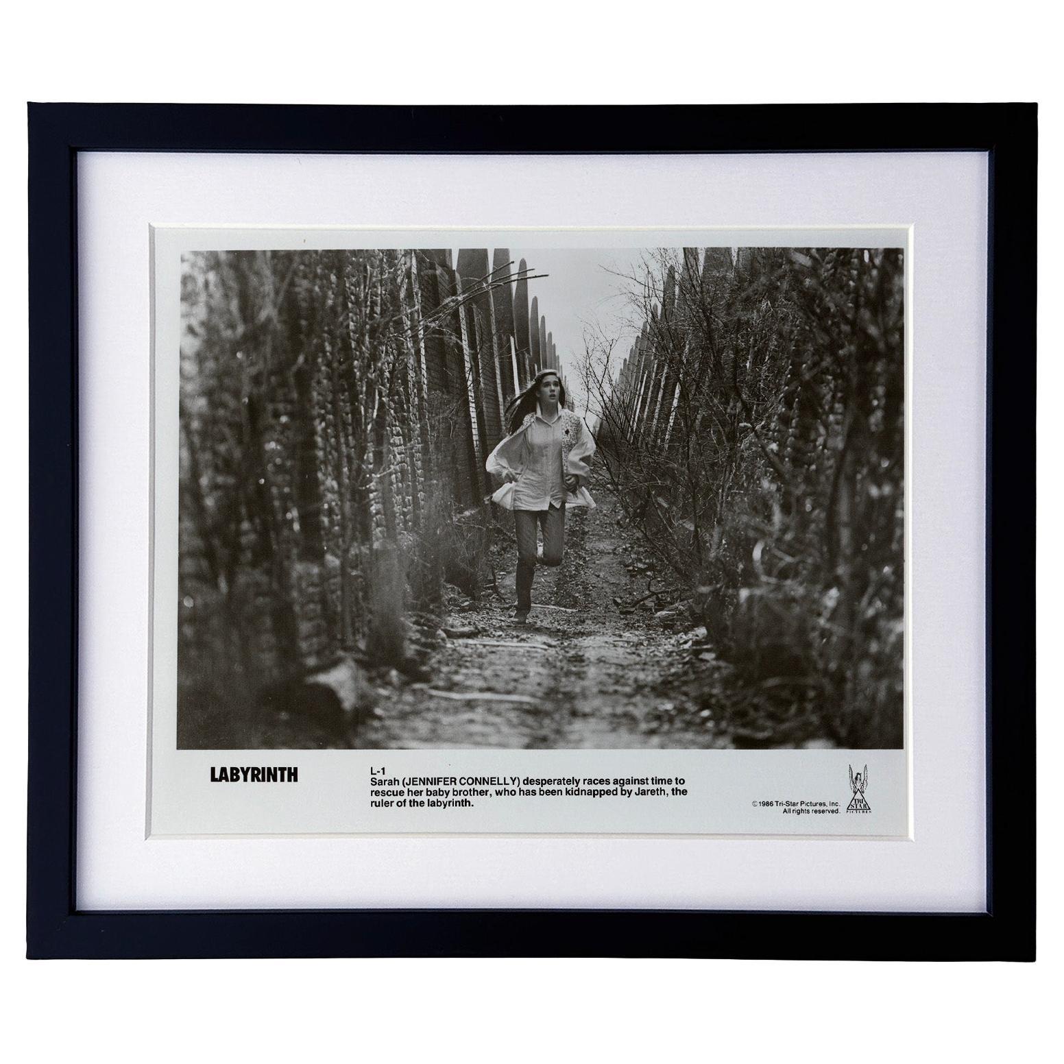 Labyrinth 1986 Publicity Film Movie Press Still Framed For Sale