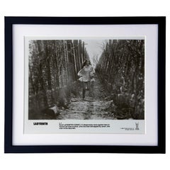 Labyrinth 1986 Publicity Film Movie Press Still Framed