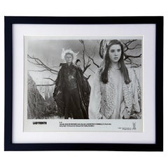 Labyrinth 1986 Publicity Film Movie Press Still Framed