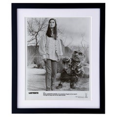 Vintage Labyrinth 1986 Publicity Film Movie Press Still Framed