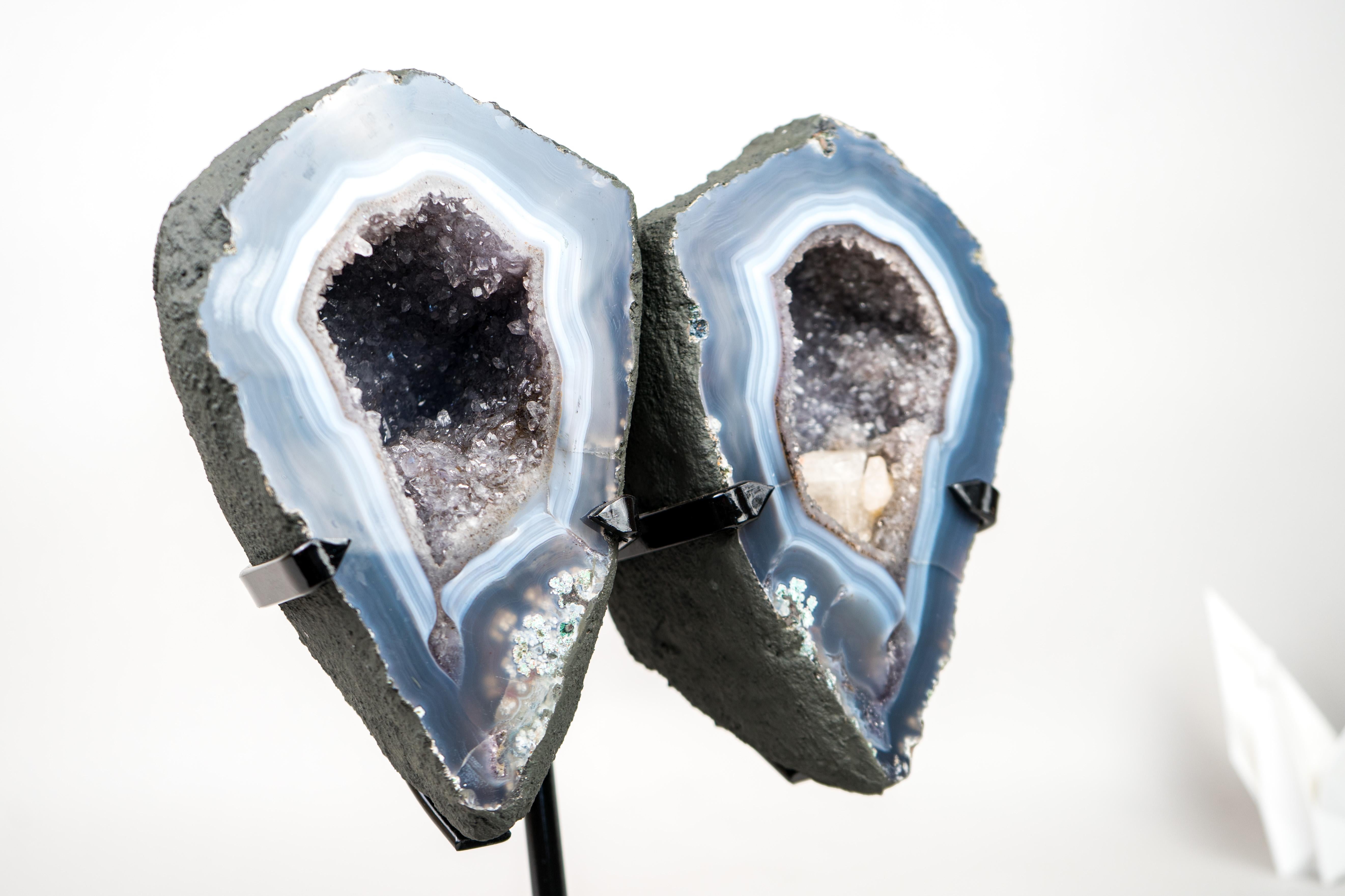 Lace Agate Angel Wings Geode with Blue and White Bands In New Condition For Sale In Ametista Do Sul, BR