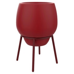 Pizzo Borgogna 50 Vaso basso di Mowee