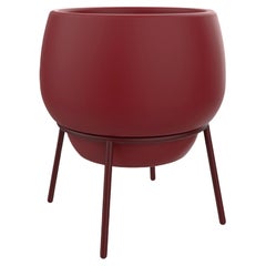 Vaso Lace Burgundy 65 di Mowee