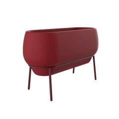 Lace Burgundy Planter by Mowee