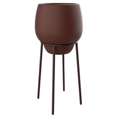 Pot haut en dentelle chocolat 50 de MOWEE